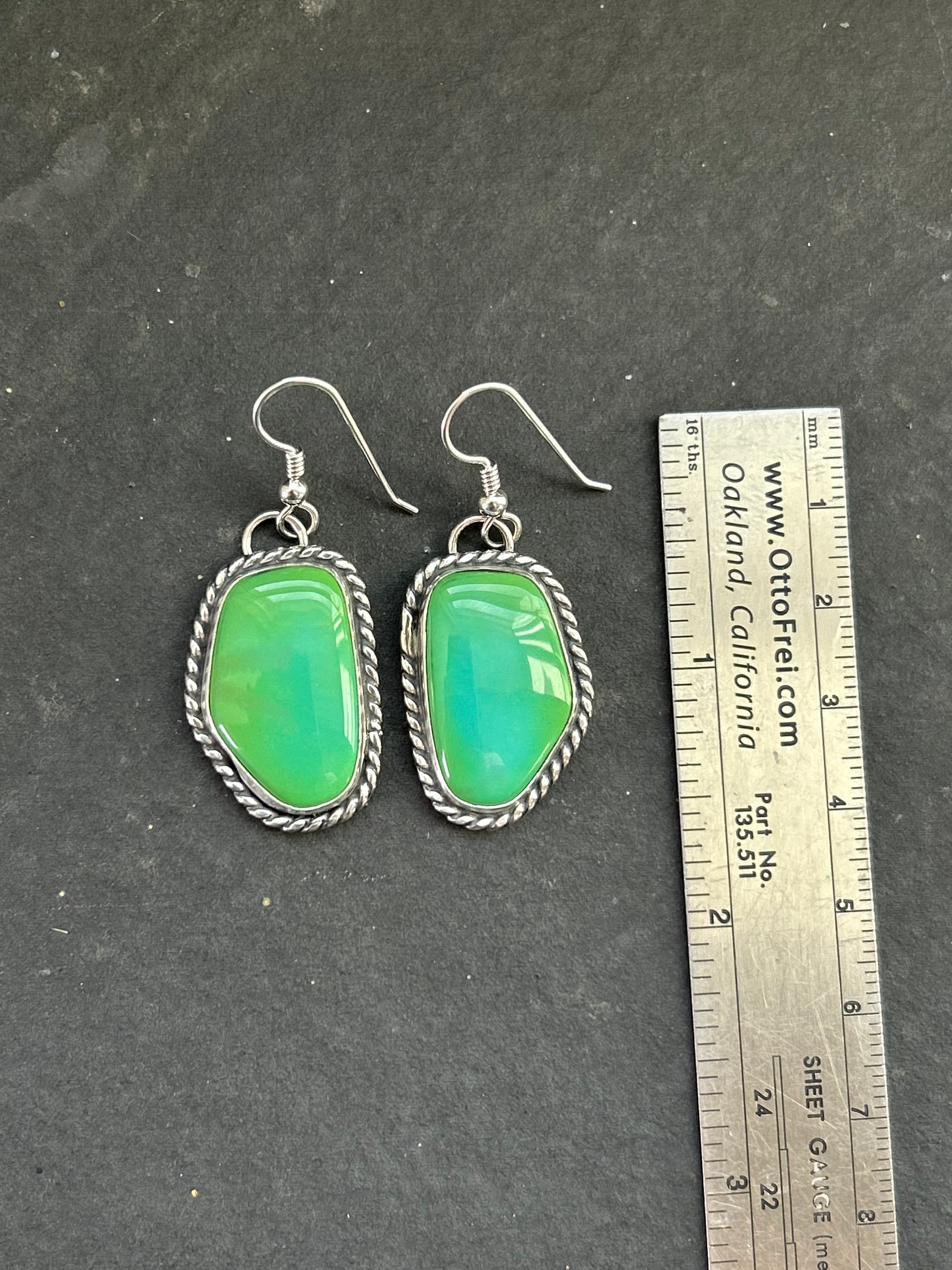 Sonoran Turquoise Dangle Earrings Style #4
