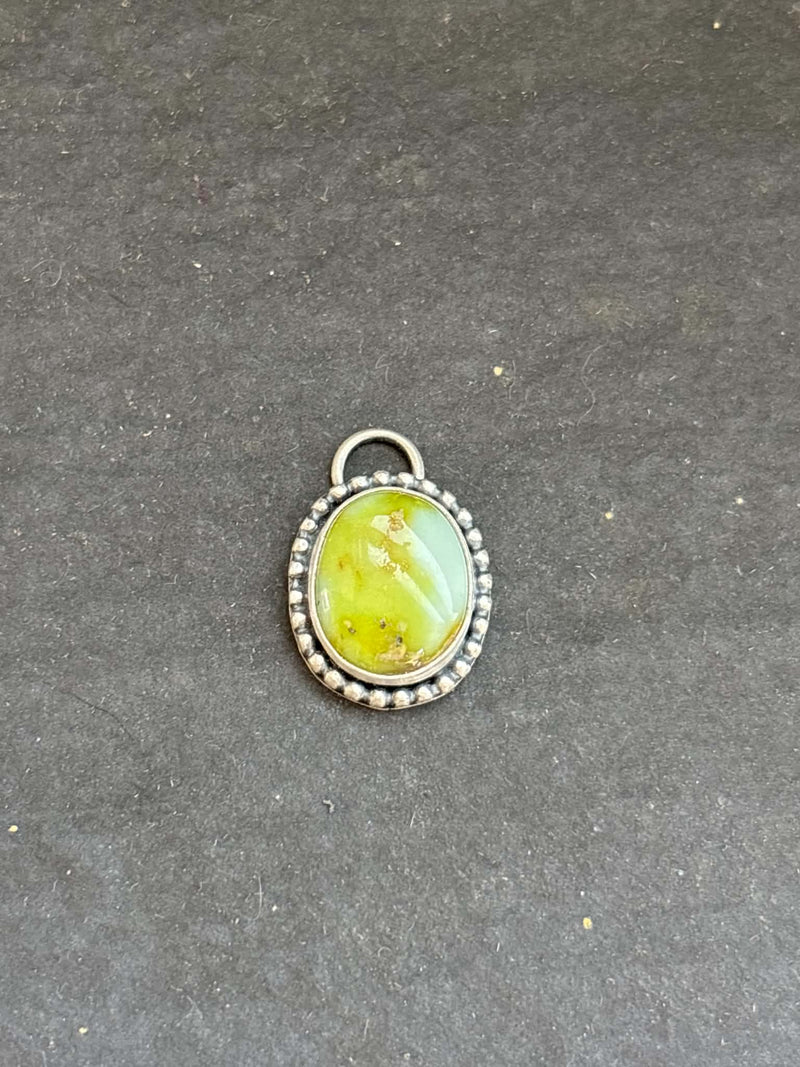 Palomino Charm