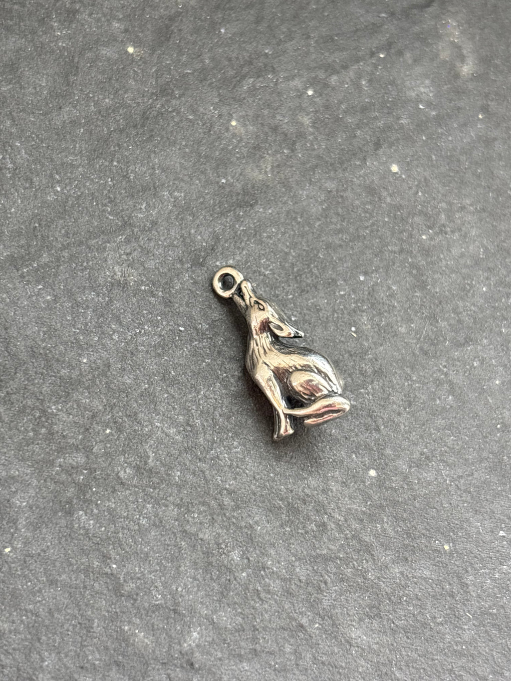 Orange Spiny Oyster Howling Coyote Charm