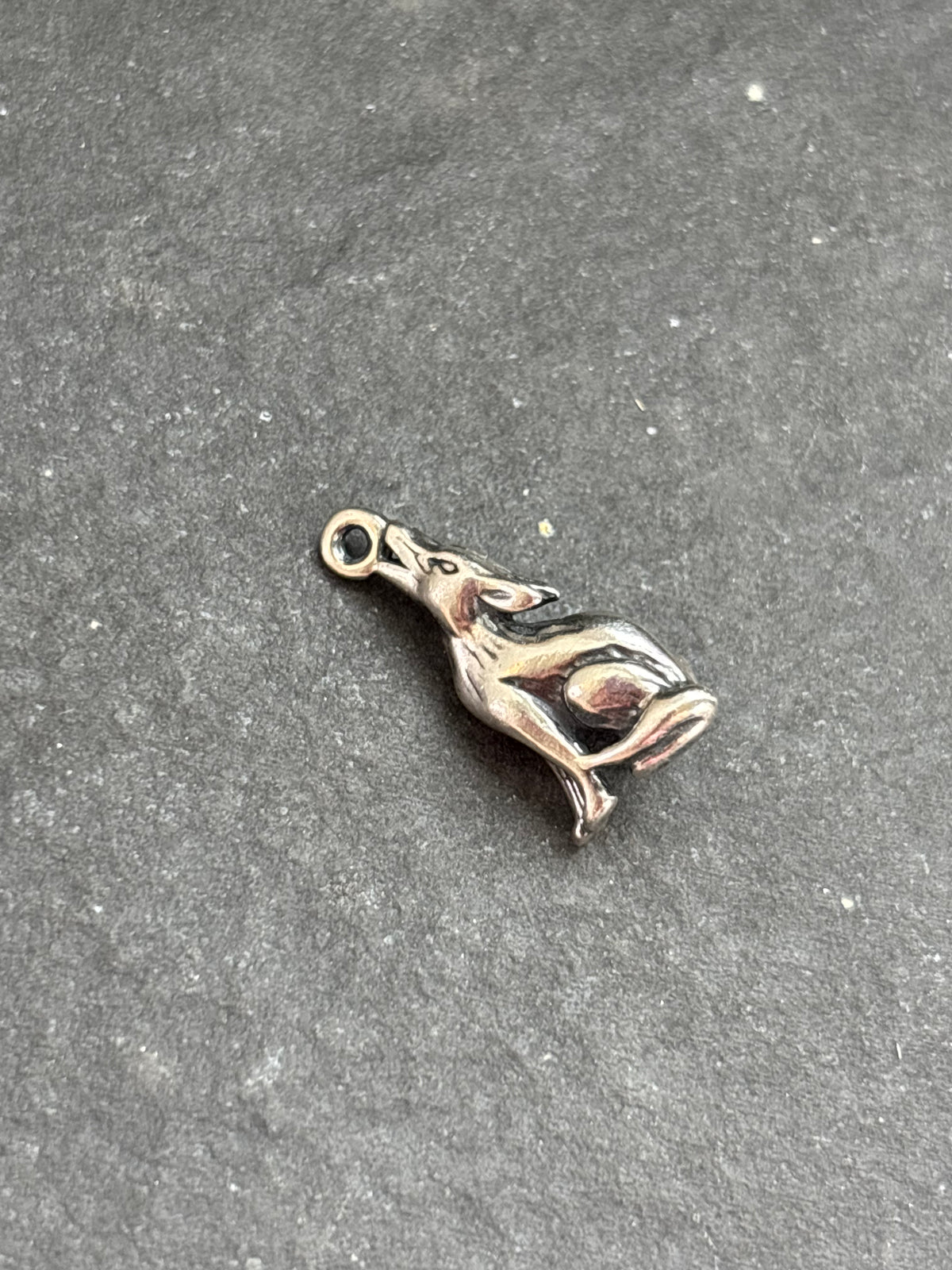 Red Spiny Oyster Howling Coyote Charm