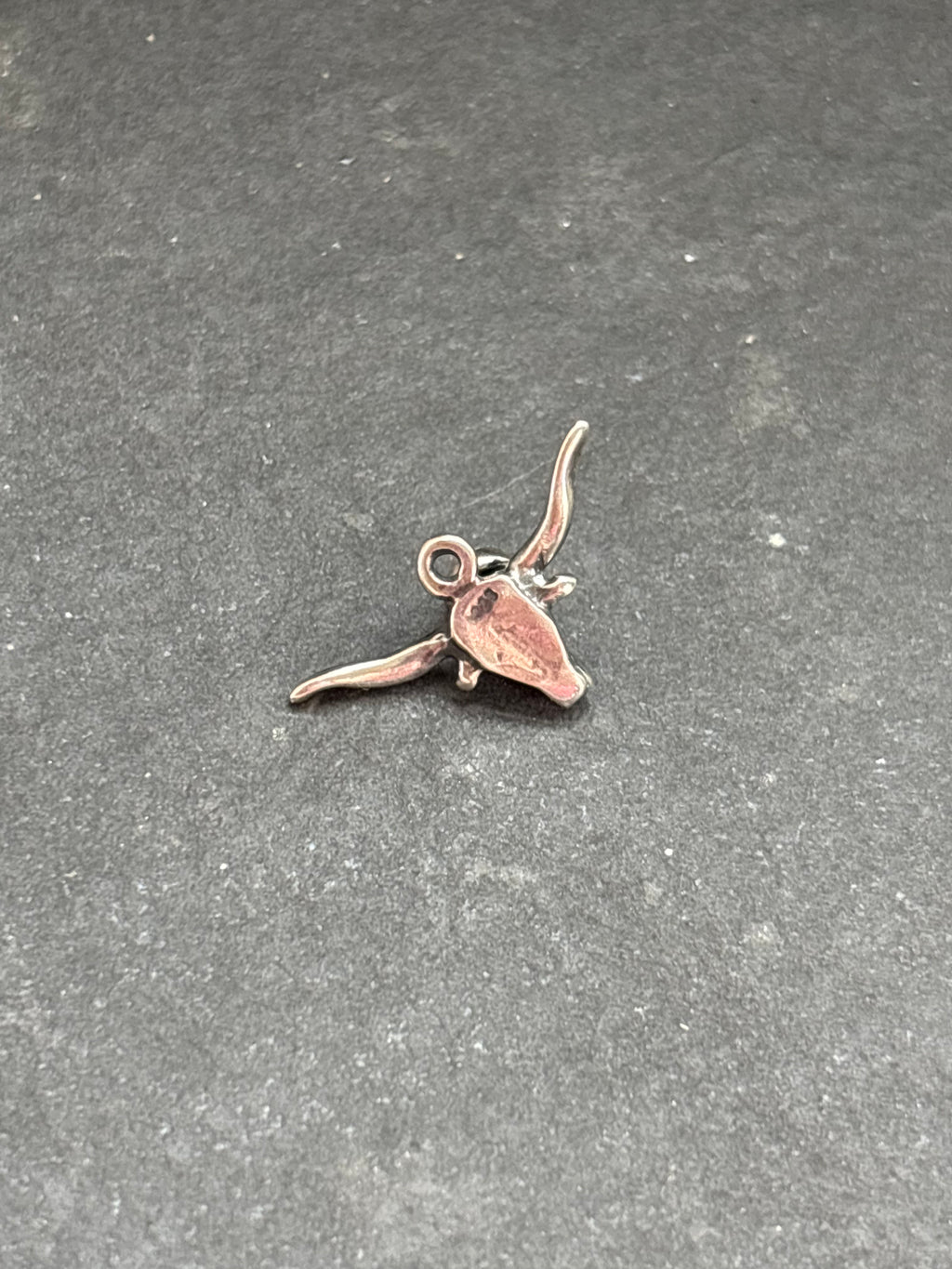 Red Spiny Oyster Longhorn Charm