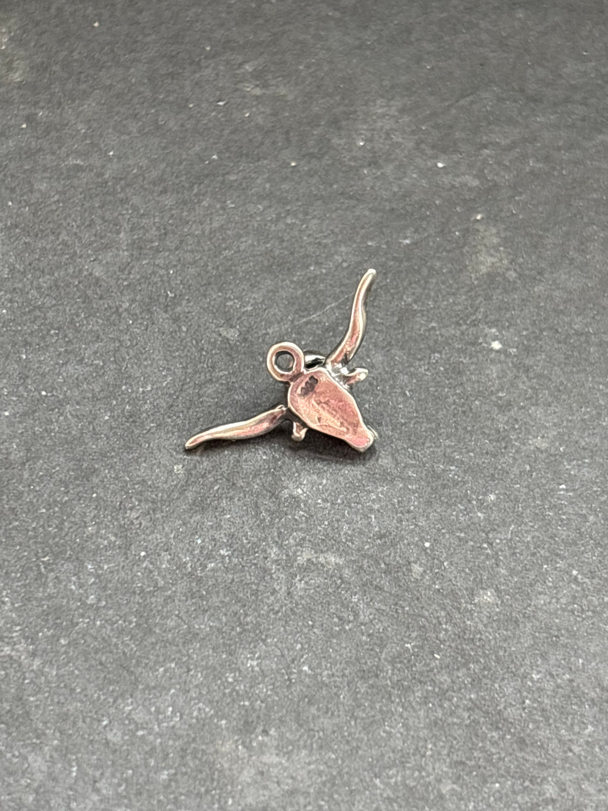 Red Spiny Oyster Longhorn Charm