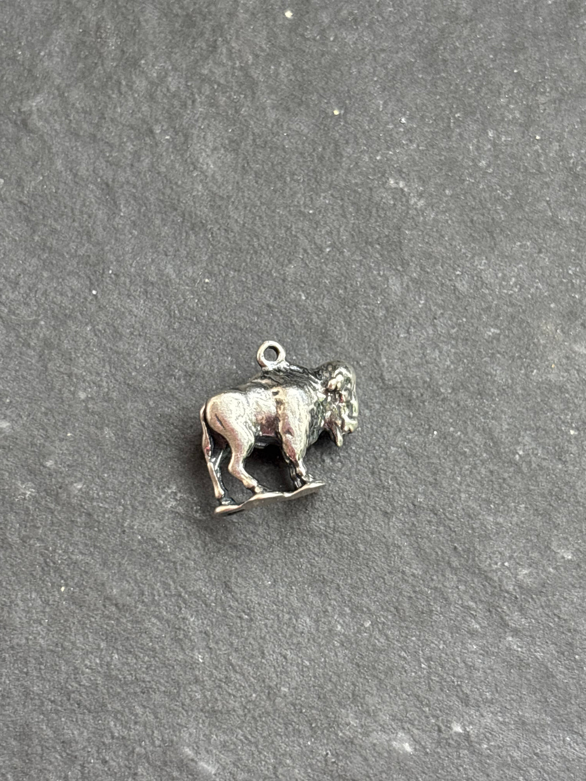 Red Spiny Oyster Buffalo Charm