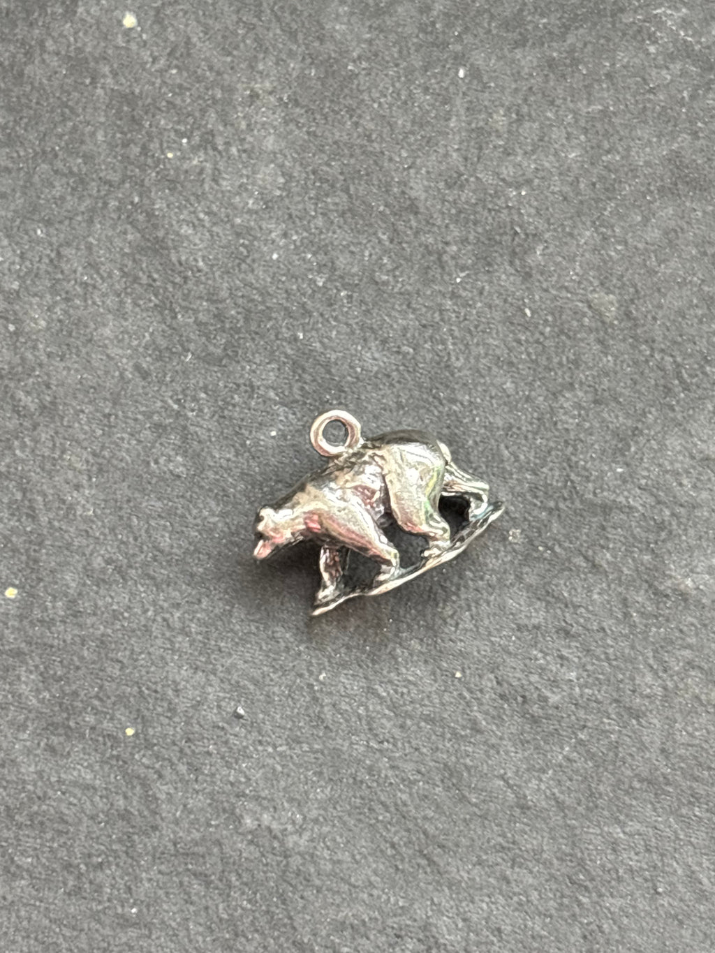 Orange Spiny Oyster Black Bear Charm