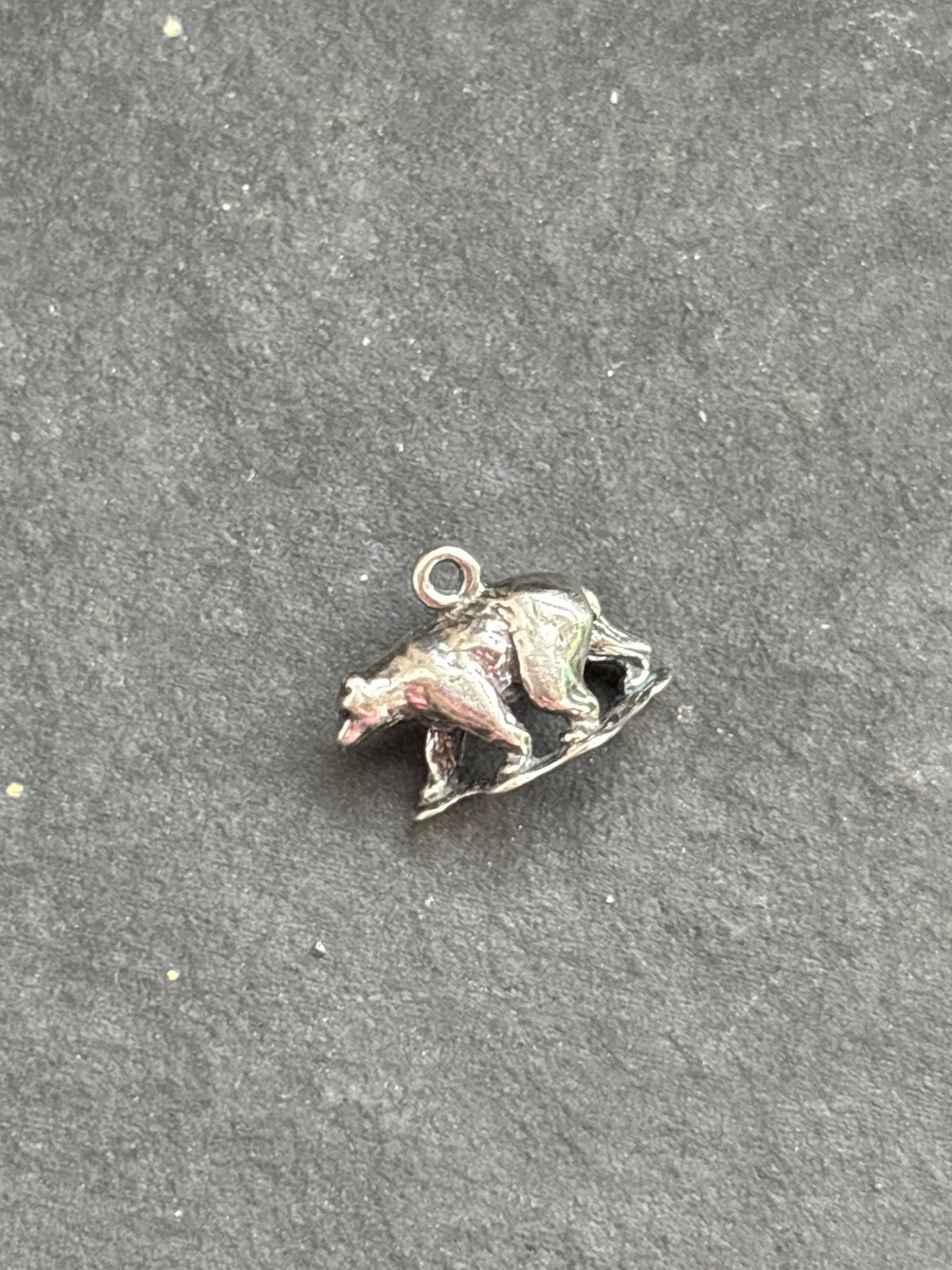 Orange Spiny Oyster Black Bear Charm