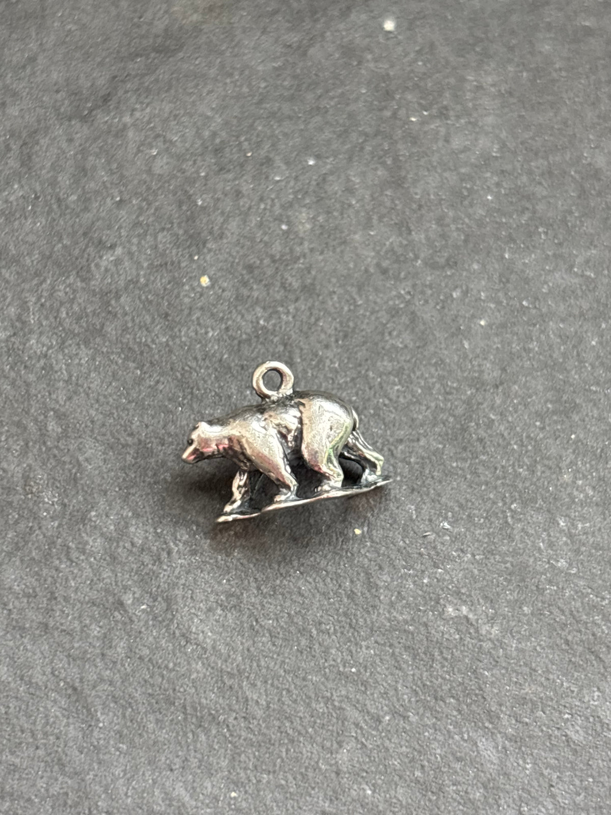 Red Spiny Oyster Black Bear Charm