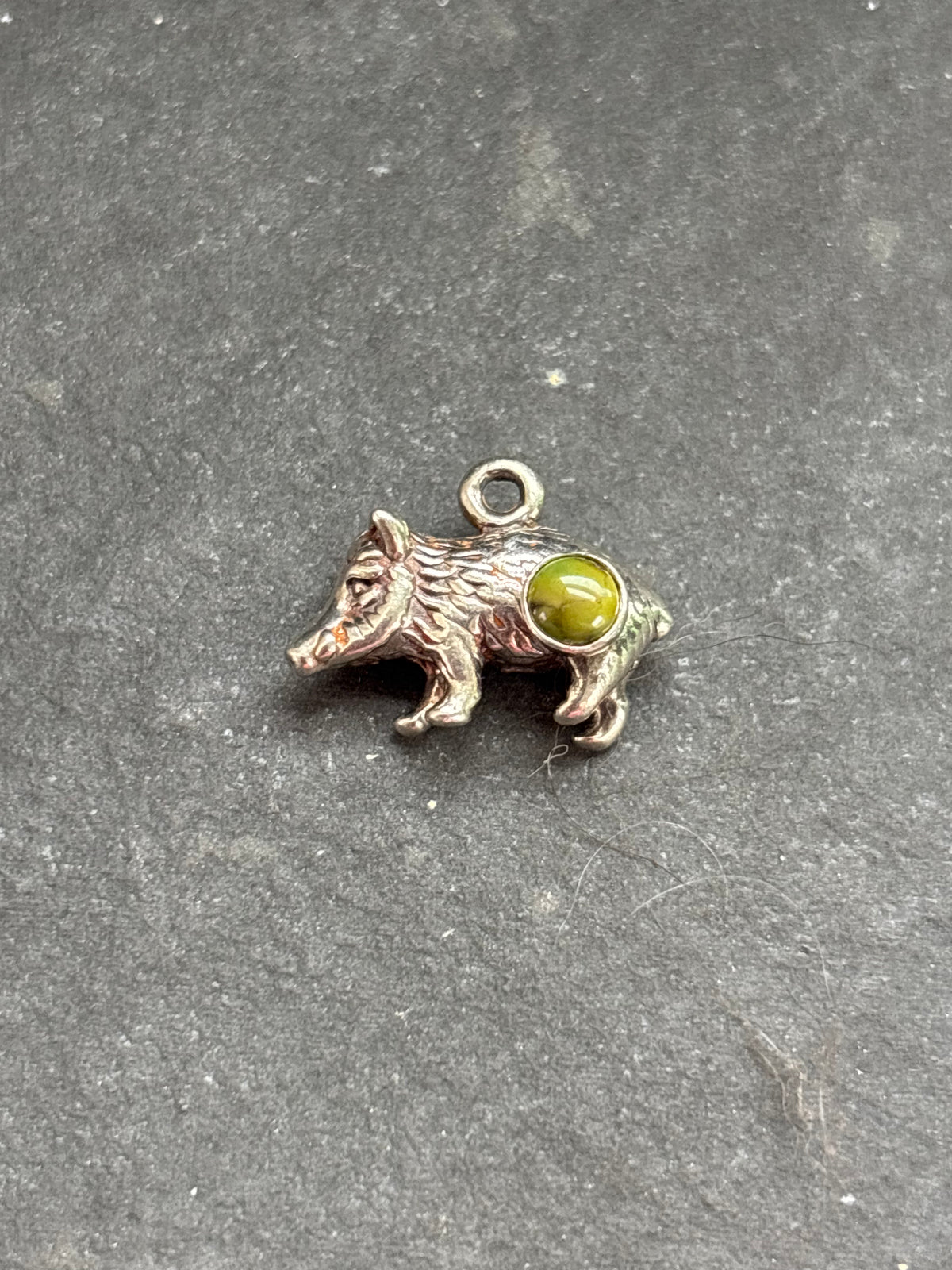 Sonoran Gold Turquoise Javelina Charm