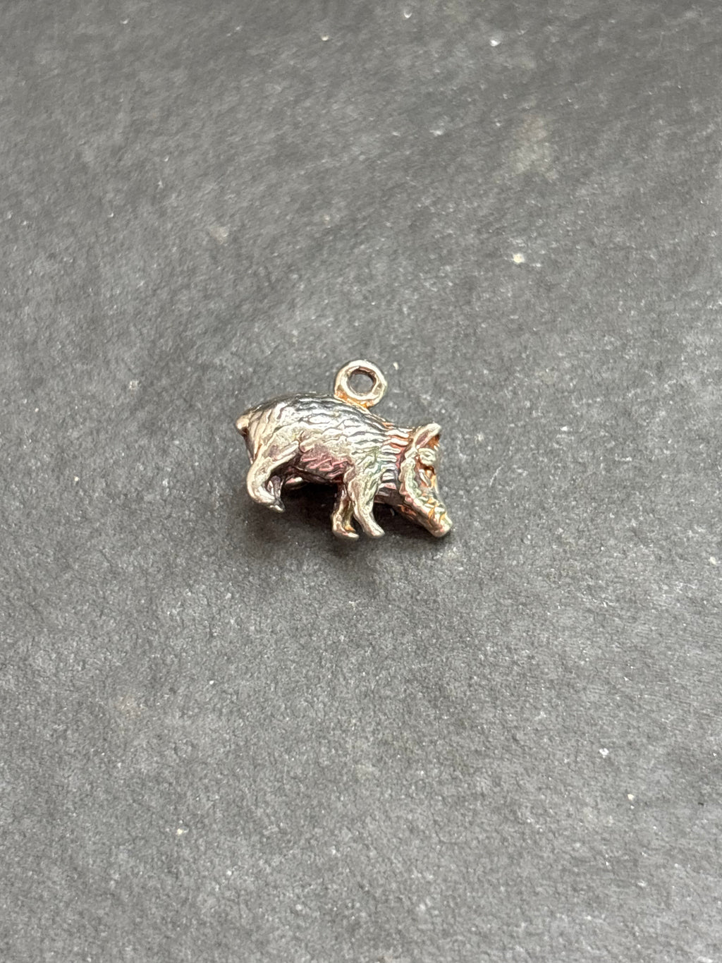 Sonoran Gold Turquoise Javelina Charm
