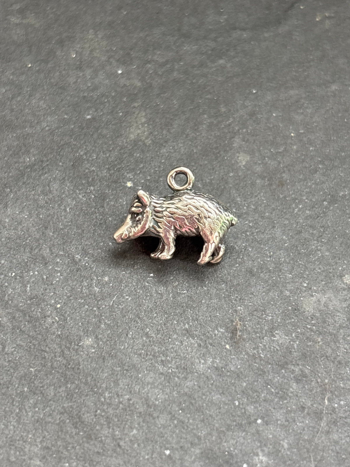 Kingman Turquoise Javelina Charm