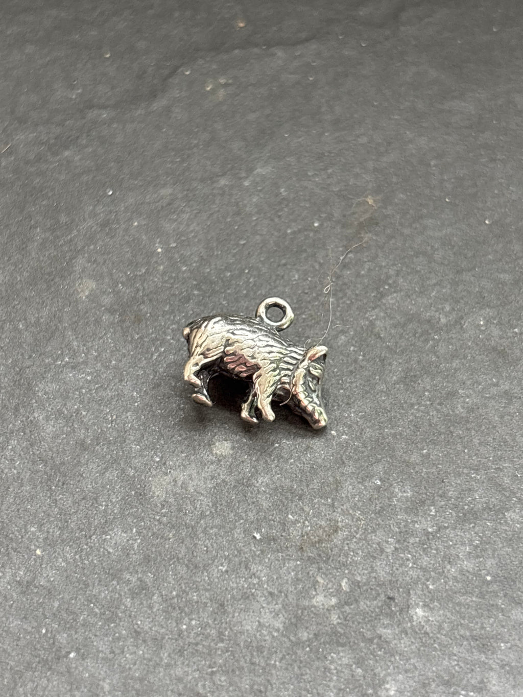 Orange Spiny Oyster Javelina Charm