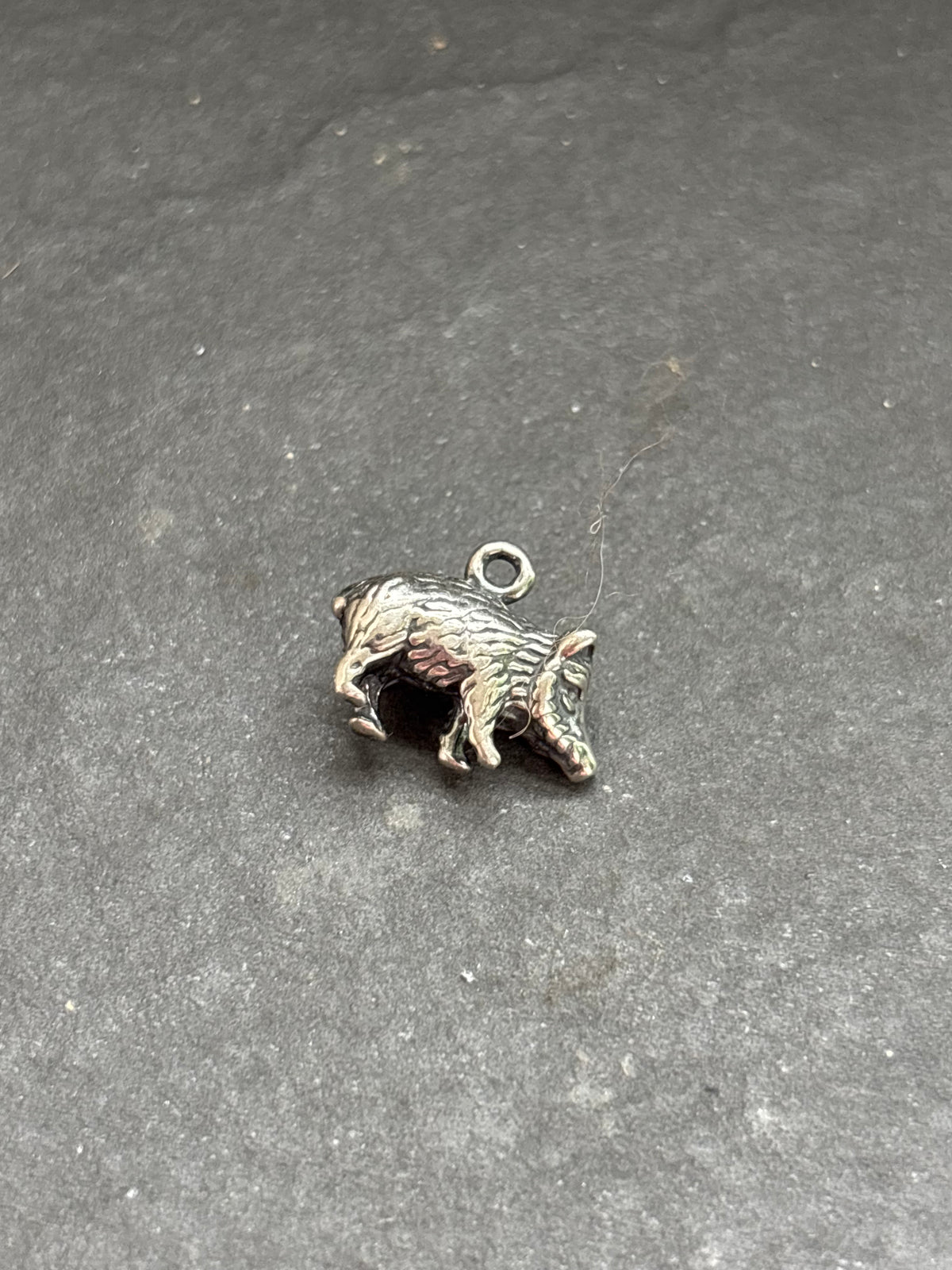 Orange Spiny Oyster Javelina Charm