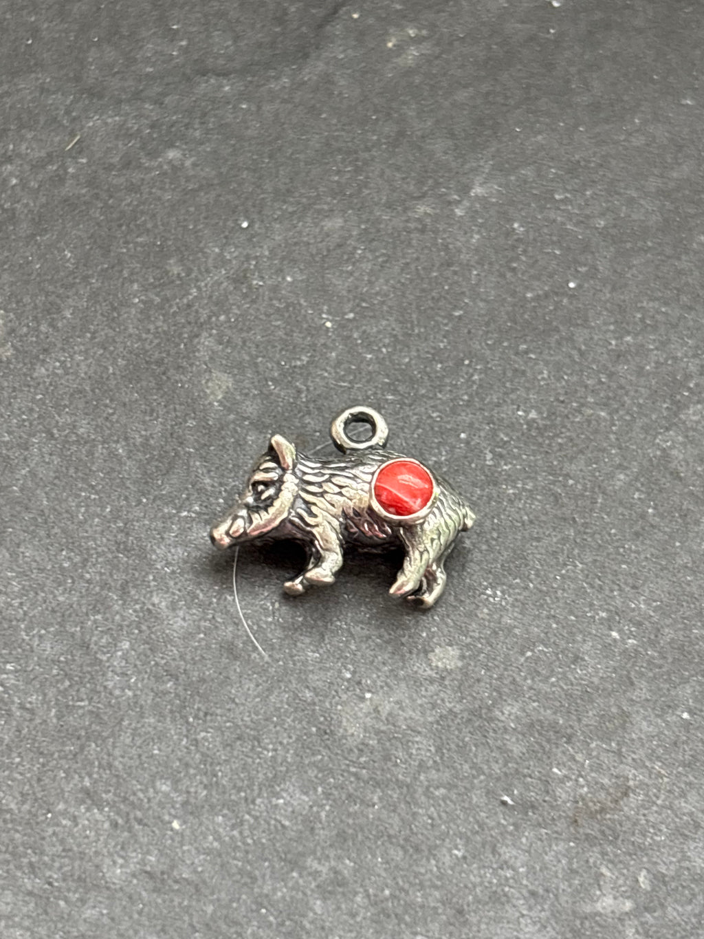 Red Spiny Oyster Javelina Charm