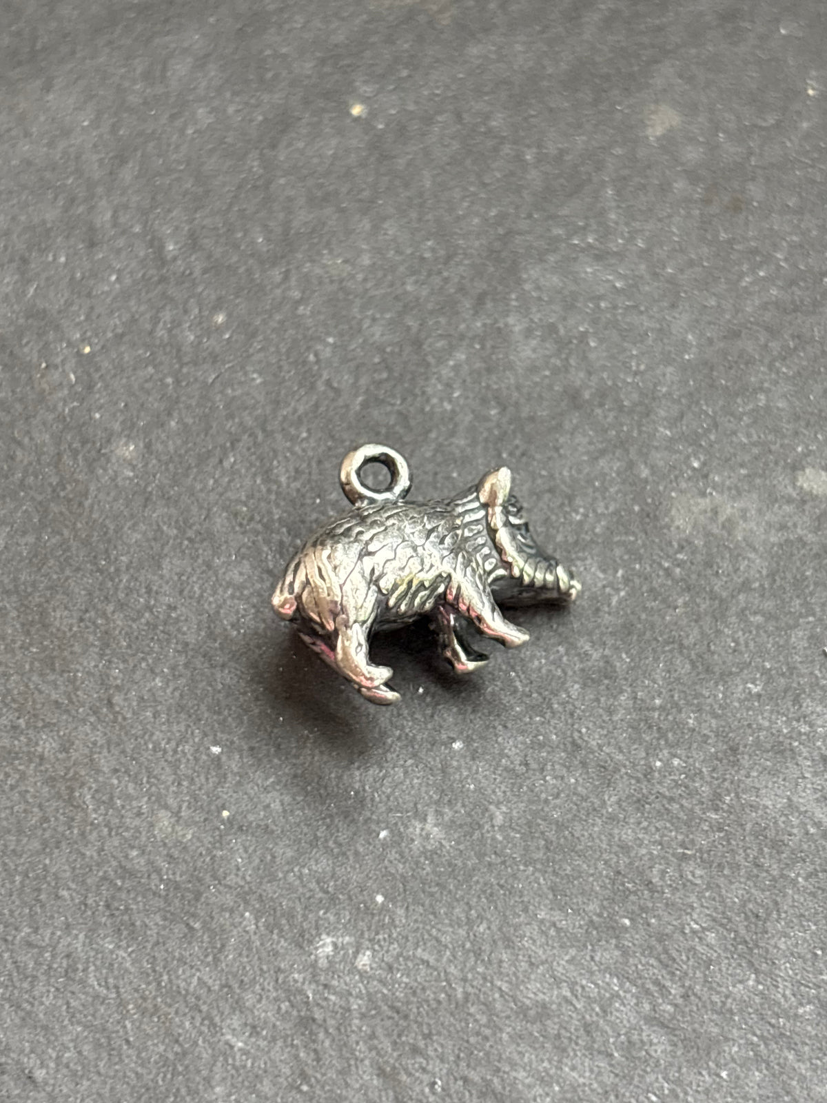 Red Spiny Oyster Javelina Charm