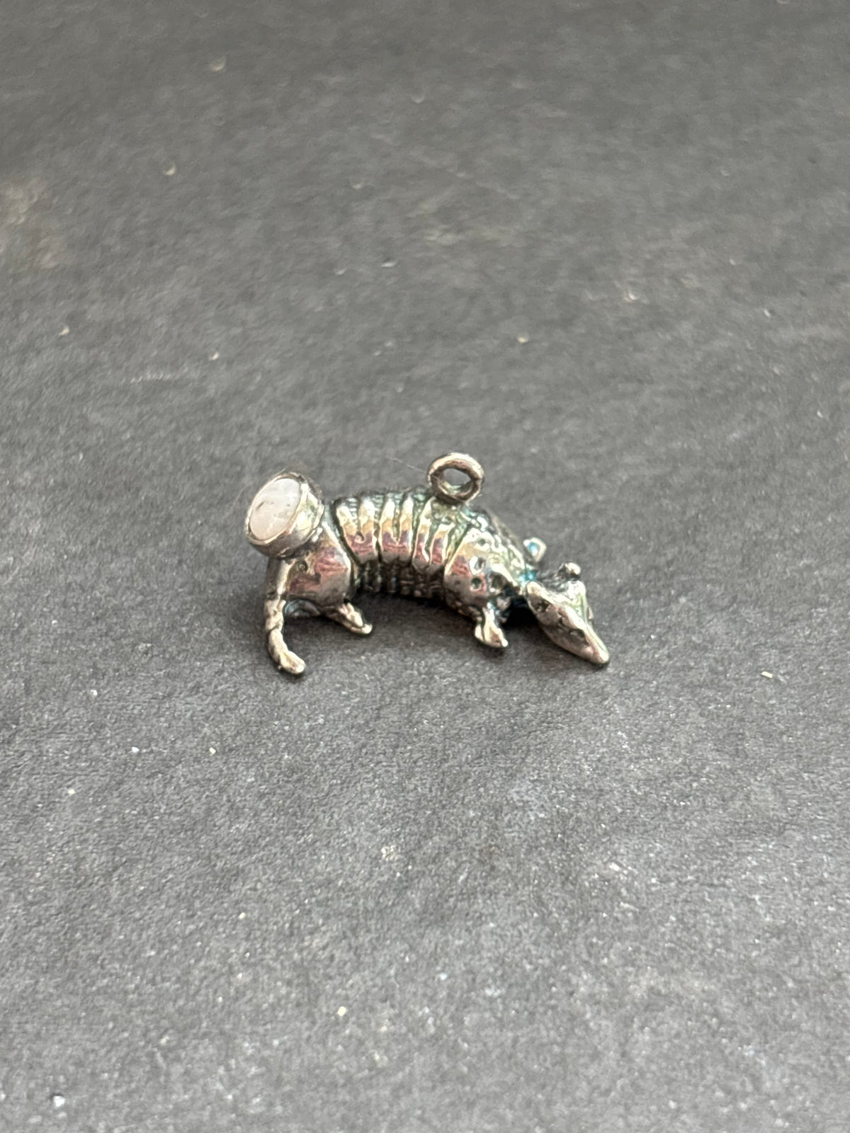 White Buffalo Armadillo Charm